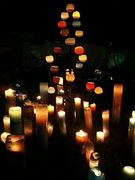 ���ե����ɡ��ҥ�