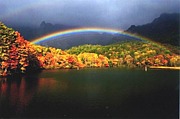 『虹の架け橋』