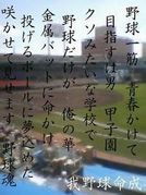 Ǯ������������ⶶJAPAN����