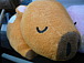 ���Τ����ûҥ����for�쳤����