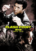 Ƴ -Flash Point-