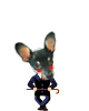 ܥʤǤ