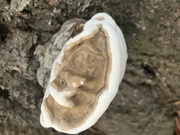 ����Υ�������🩷