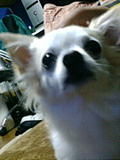 枚方ドライブCrew