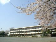 ���ɾ��ع�������������ǯ´����