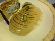 ����ر��̳�ƻ��������ع�