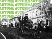 autumn skateboard shop