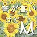 ؤ⤤M