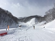 �������Υܡ����С��罸