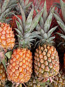 ѥƱ[PineappleAlliance]