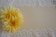 �ޥޥ�����Ϥ�ޤ��󤫡�in����