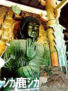 ������������������