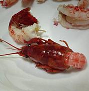 ���ꥬ�ˤϿ���