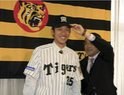 ���ɧ�ʺ��������������