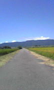 starting block֥