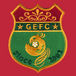 GEFC