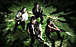 LEFT 4 DEAD U_N_JP clan