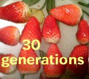 30generations