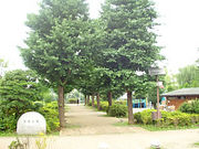 ���������ǰ��⤦��