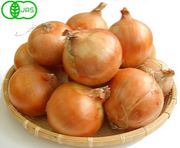 Love Onions