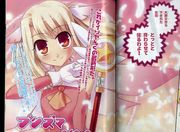 Fate/kaleid liner