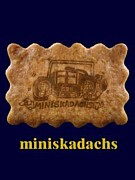 miniskadachs