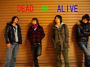 []DEAD OR ALIVE