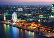 ���ͤûҶ����