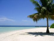 1987ǯ1��18�����ޤ�������