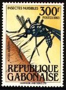 �٣ţӡ��ǥ󥮡�������