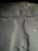 ��Secret Boarders��