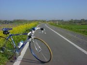 荒川自転車道