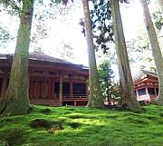 近江の寺社や仏像が好き☆