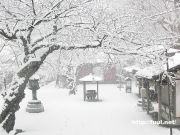 現代人の知恵、現代人のための本