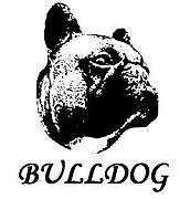 BULLDOG̿