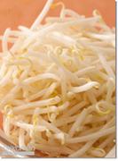 もやしを愛する