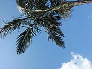 ���ԥ���奢�����å�