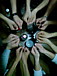 �ʤ�ʤ��