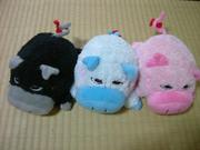 �ڤ����ڣ���