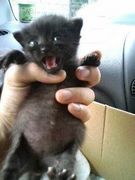 �����Ƥ�Ǹ��Ť������ա���