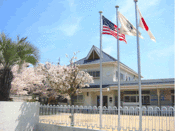 ����ꥫ�������å���������