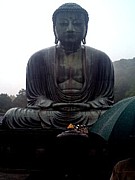 ������ä�����