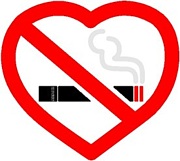 正統派：タバコ吸いません穏健派