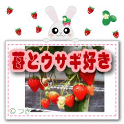 苺とウサギ好き♡