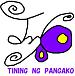 TINING NG PANGAKO