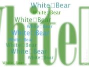 WHITE��BEAR��