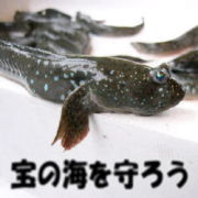 宝の海を守ろう