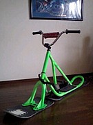 ���ώ��Ɏ��������ĳ������