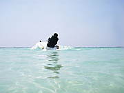 ��Ƿ��de���������ܡ���