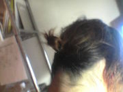 �ڼ��ϡ������ڤ��ġ���